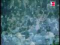 videos de el mejor robo de la NBA.AVI