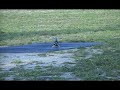 Funky 450 Inverted Autos