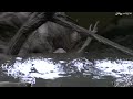 Farcry 2 Gameplay 9 Farcry 2 Gameplay 9