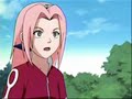 My tribute to Haruno Sakura