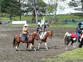 Pferd International München 2005