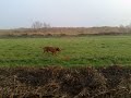 Boka 21112009 0022.mp4