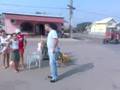 bulgaran childrens from Baleni Tirgoviste Romania