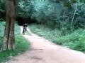 dilas skid