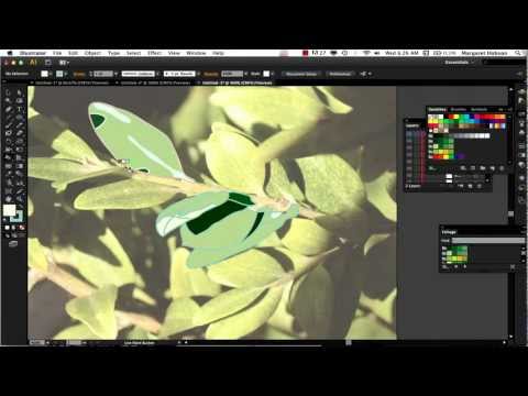 how to live paint in illustrator cs6