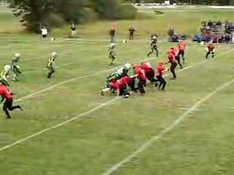 Zacharias catch and stripped