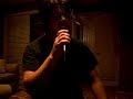 Staind-its been awhile cover