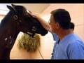 Barbaro un cheval exeptionnel.