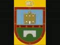 videos de puente tocinos fc