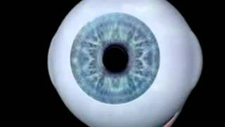 Carlos Schiappacasse-10