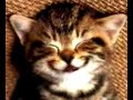 look funny (11) look funny (11)