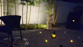 Merry Christmas☆彡