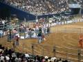 Mutton Bustin Rodeo Houston 2009