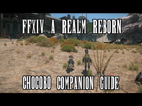 how to train your chocobo ffxiv