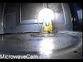 MicrowaveCam.com - Plasma Fireball Captured! MicrowaveCam.com - Plasma Fireball Captured!