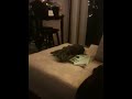 Kitty Flight Planning