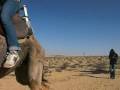 videos de Mayanot Birthright December 2008