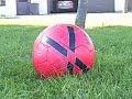 si renaldo verrais sa i srè jaloux loll si renaldo verrais sa i srè jaloux loll