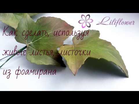 Отзыв-предостережение. Пережила многое, но Осложнения после удаления зуба мудрости верхней и нижней челюстей