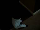 Mihiretu crawling part 2 Mihiretu crawling part 2