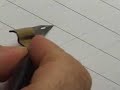Pointed Pen Copperplate Calligraphy 06