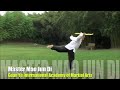  Master Mao Jun Di - Qianlong Fan