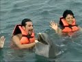 nadando con delfines nadando con delfines