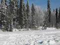 2008 Ice Fishing Derby-Soldotna Trustworthy Hardware