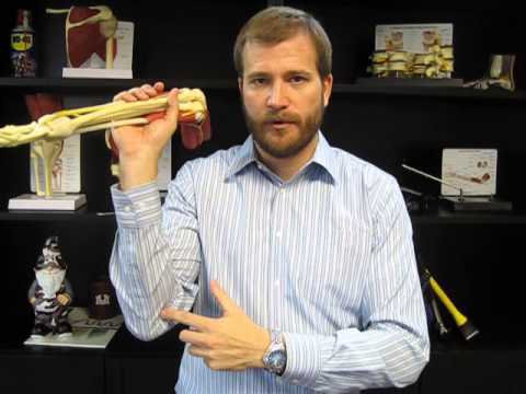 how to isolate pronator quadratus