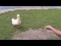DUCKFACE!!!