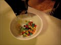 Mimo Eats Cereal
