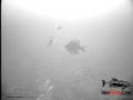 Underwater Northern Pike Strikes The Bait Twice