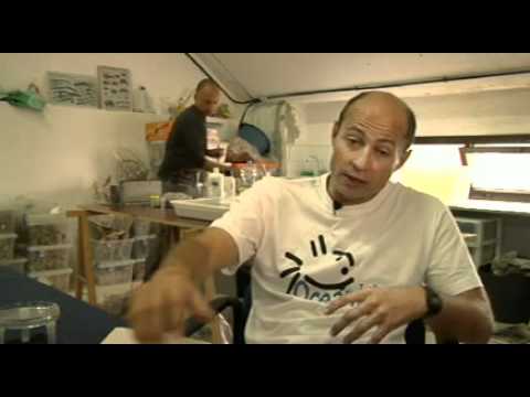 Especies nuevas