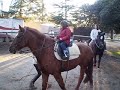 akela montando a caballo 1