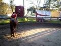 videos de akela montando a caballo 1