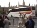 London Fursuiting - Scritch, Fetch And Ricochet Part 2