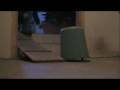 Eta is practising turning after running contacts at home