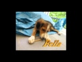 Bella Bella