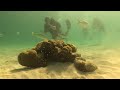 Scuba Diving in St. Thomas