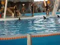 Dolphinarium, Kish Island, Iran Dolphinarium, Kish Island, Iran