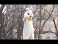 Ahhhhhhh.Easter Bunnys a badass.