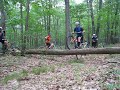 Gotch second log attempt