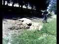 little googan takes a fall