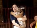Holding a Tiger Cub