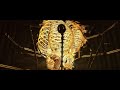 The M Machine - Metropolis [Album Teaser]