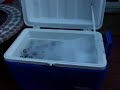 fast way to cool beer