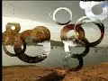 Australia\ Australia\