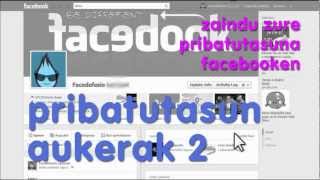 Facebook: pribatasun aukerak