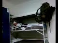 otto und bibbo im bett xD otto und bibbo im bett xD