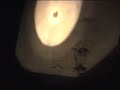 Music Video for The Arcade Fire - Antichrist Television Blues